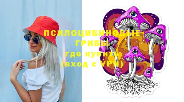 молекула духа Липки