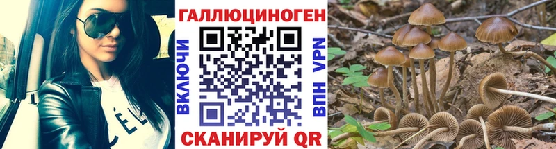 Галлюциногенные грибы GOLDEN TEACHER  Купить закладки  Арамиль 